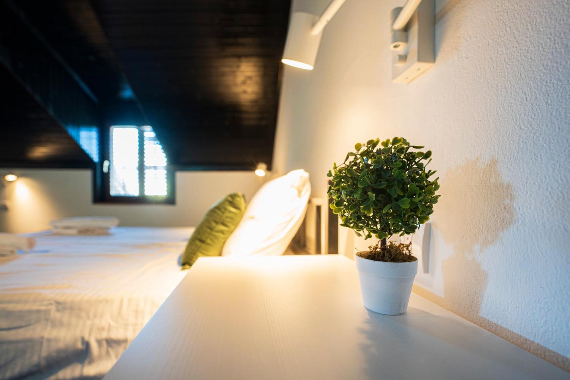 Cozy Nook B&B - Free Private Parking Novi Sad Esterno foto
